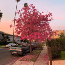 givemorethanyoutakee avatar