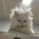 given-up-on-will-to-live avatar