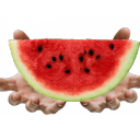 giving-watermelons-to-peeps avatar