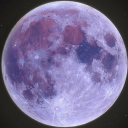 giziunatkozik01 avatar