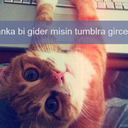 gizliozne-blog avatar