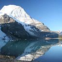 glacial-insanity avatar