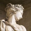 gladiatordonut avatar