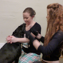 glambert-forever-burning-bright avatar