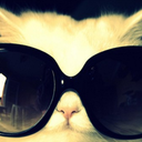 glamourcats-blog avatar