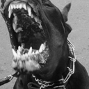 glass-case-her avatar