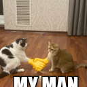 glassglassmadeofglass avatar