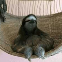 glassheartsxc avatar