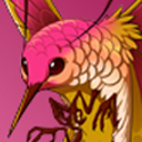 glasswing-flutter avatar