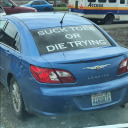 gleaminggoatherd avatar