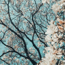 gleerificnerd avatar