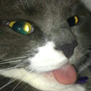 glennfwallsjjkkj avatar