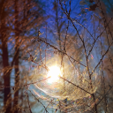 glimmeringsnc avatar