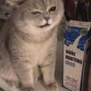 glitchystardust avatar