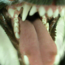 glitt3r-gh0st avatar