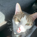 glitterangel5665 avatar