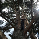 glitterbiaaatch avatar