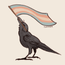 glitterchance avatar