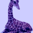 glittergiraffee avatar