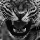 glitteringheart avatar