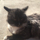 glitterstuffff0 avatar