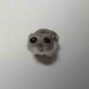 glitterycollectorunicorn avatar