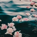 glitteryfacedreamer avatar