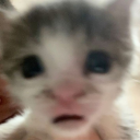 glitteryspacething avatar