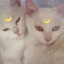 glitteryydemon avatar