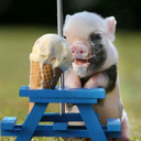 gloccamorradreams avatar