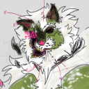 gloomywoodsys avatar