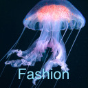 gloriousfuryjellyfish avatar