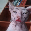 gloriousimaginaryperson avatar