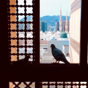 glory-2-my-lord avatar