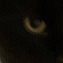 glorybetothegirlthatgoesback avatar