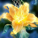 gloryofthegoldenflower avatar