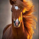 glorytheunsung avatar