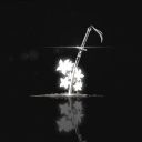 glorytodroidkind avatar