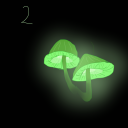 glow-worms-are-believers avatar