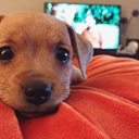 glowing-coffee avatar