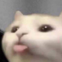 glowing-glaze-lily avatar