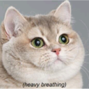 glowing-stick-generation avatar