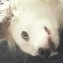 glukoosivartija avatar