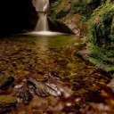 gmenweardaily avatar