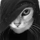 gmoneywigga100 avatar