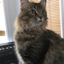 gmoran-diamonds123-blog avatar