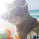 gnarly--charlie avatar