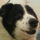 gnarly-darling avatar