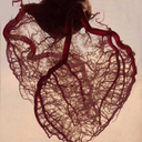 gnarly-mxrley avatar