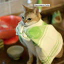 gnarlyquinn22 avatar